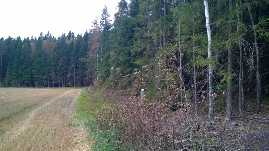 Kuva Tomteskogista pellon reunaa pitkin